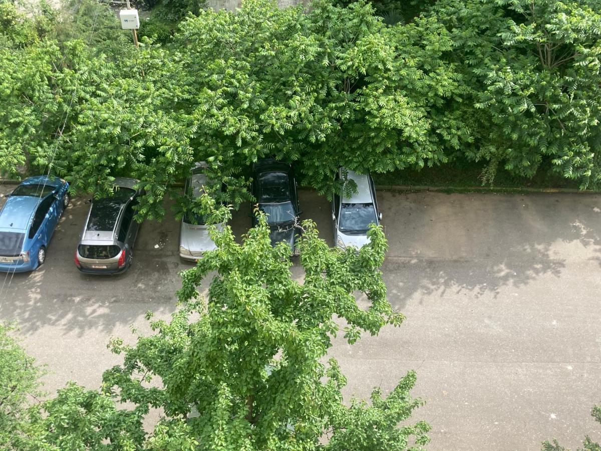 Apartment Near The Sea Μπατούμι Εξωτερικό φωτογραφία